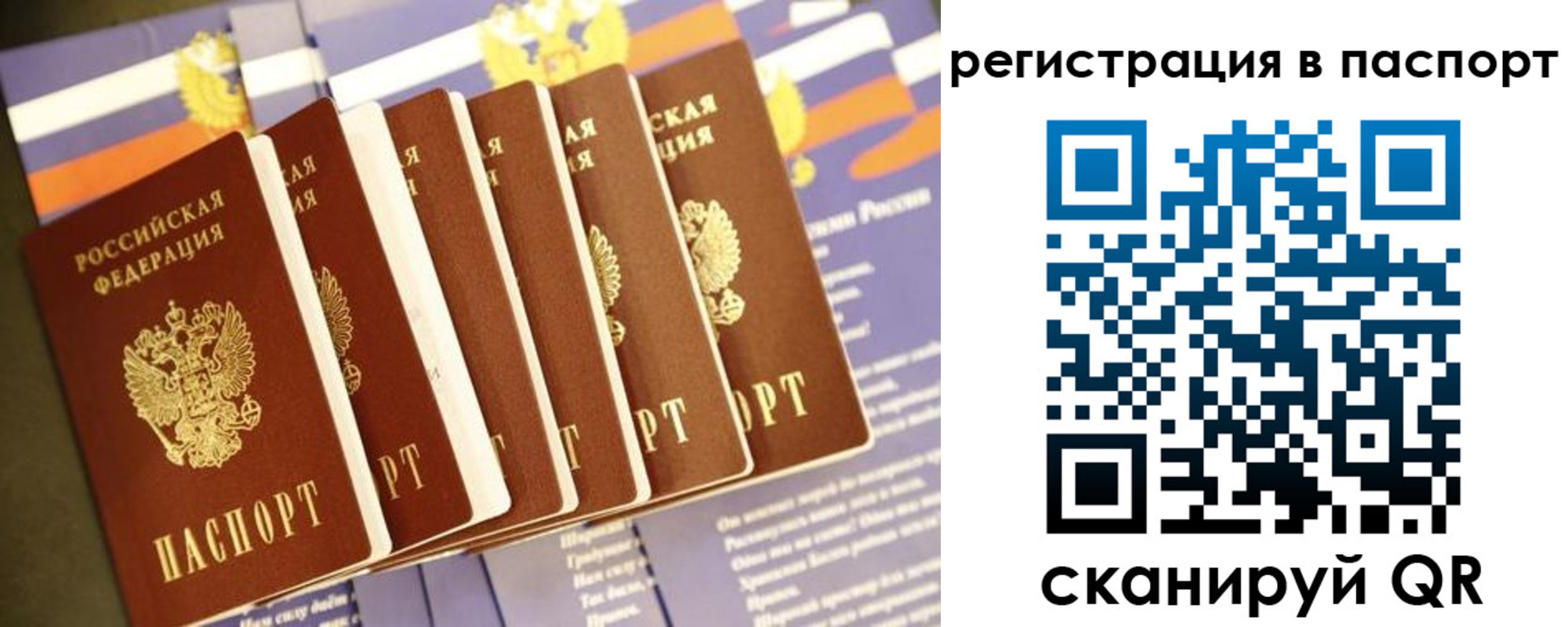 прописка ребенка в Тверской области